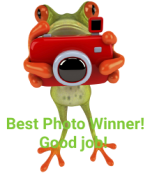 a best photo greeting